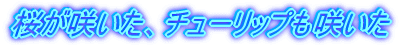 炢A`[bv炢